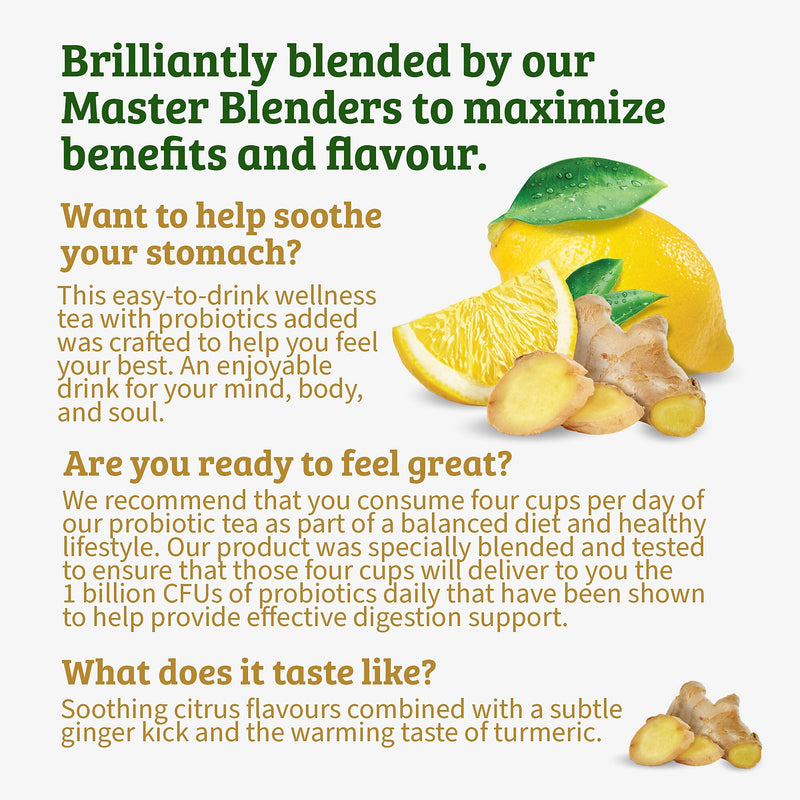 Twinings Probiotics+ Herbal Lemon & Ginger Tea, Keurig® K-Cup® Pods, 24/Box (F16930)