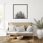 Amanti Art Haze Aloe Succulent by The Creative Bunch Studio Wood Framed Wall Art Print, 33" x 33" (A42675345777)