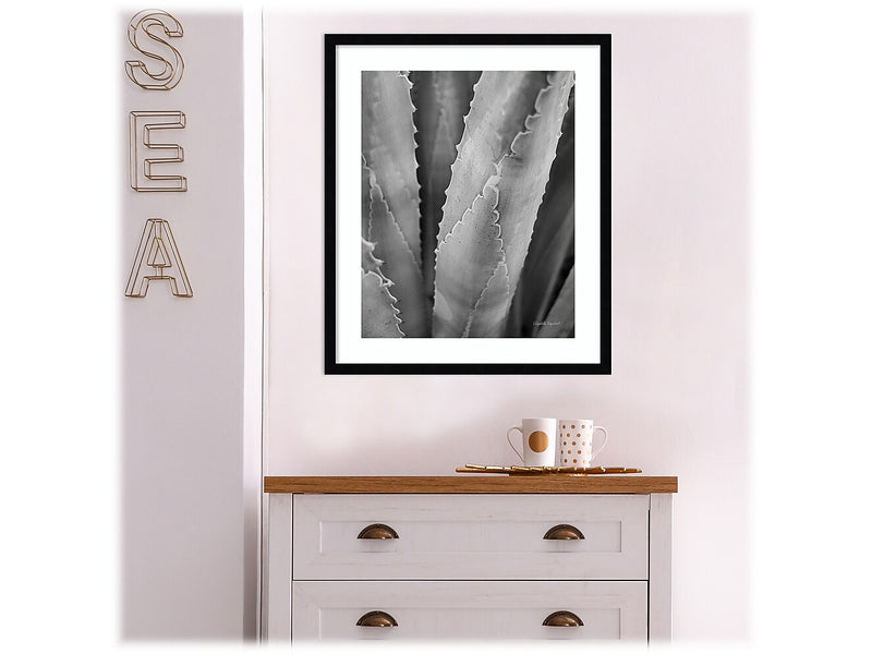 Amanti Art Abstract Agave I, Paper, 21" x 25" (A42675516734)