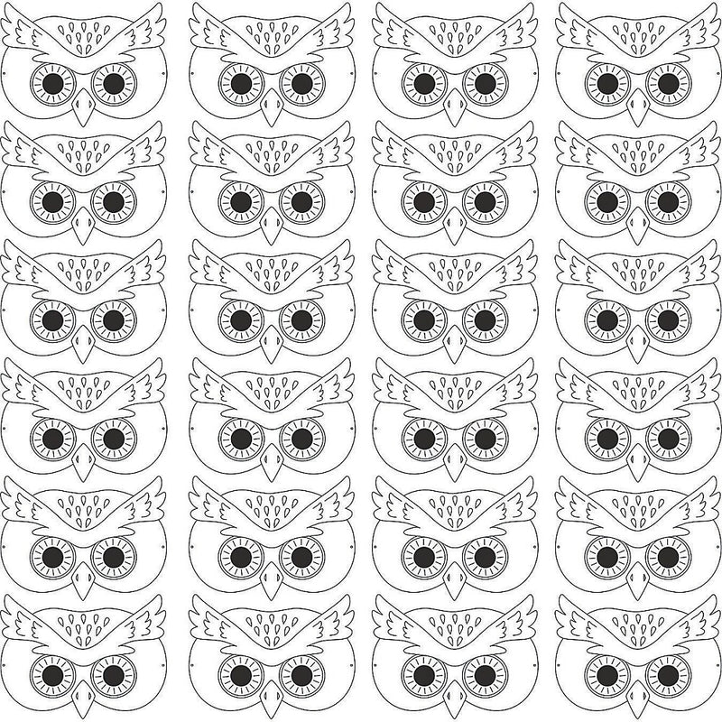 S&S Owl Moon Creative Reads Book & Activity Kit (LR4566)