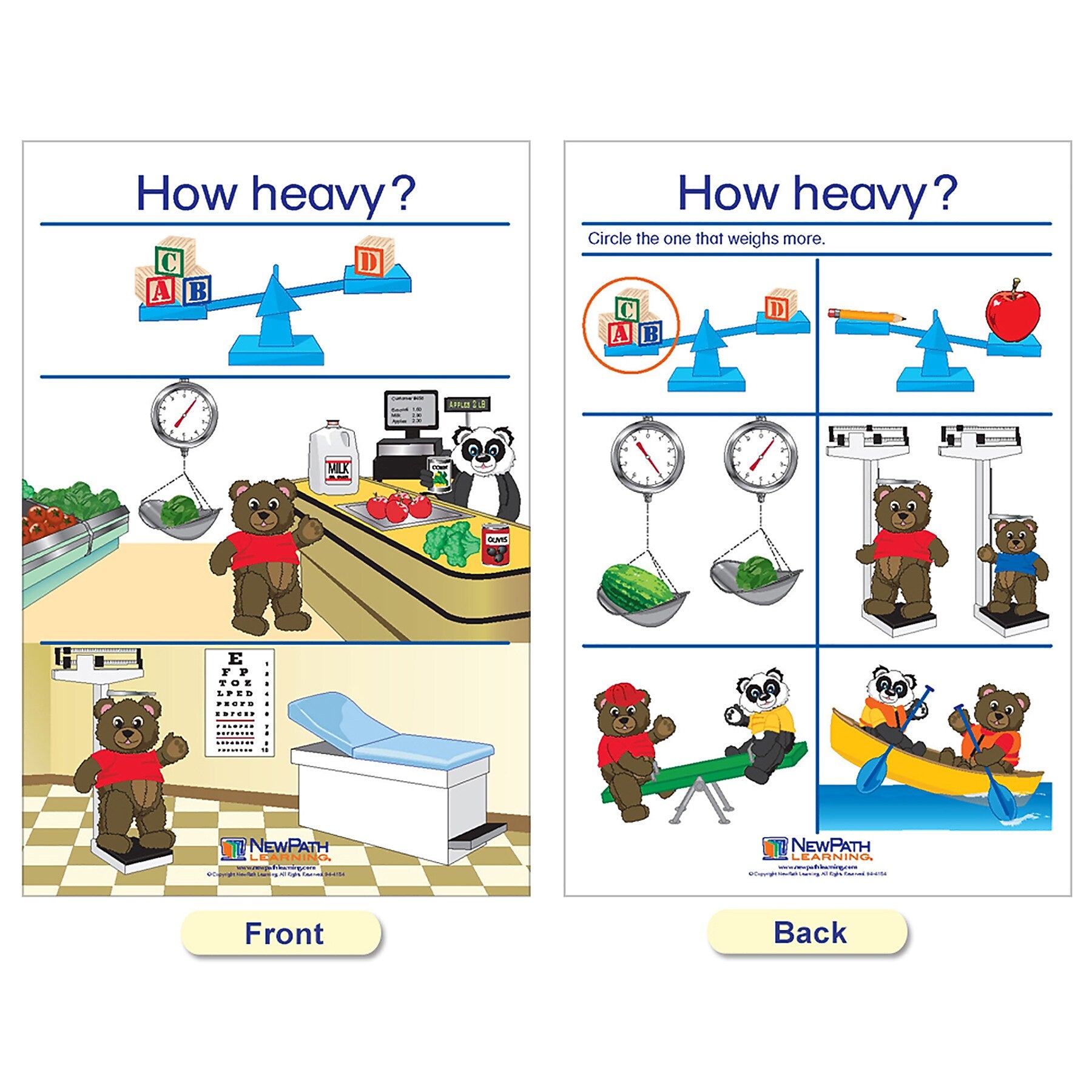 NewPath Learning Measurement Bulletin Board Charts, English Edition, 12" x 18", 5/Set (NP-930228)