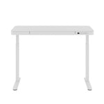 FlexiSpot EG9 48"W Electric Adjustable Glass Top Standing Desk, White (EG9W-E)
