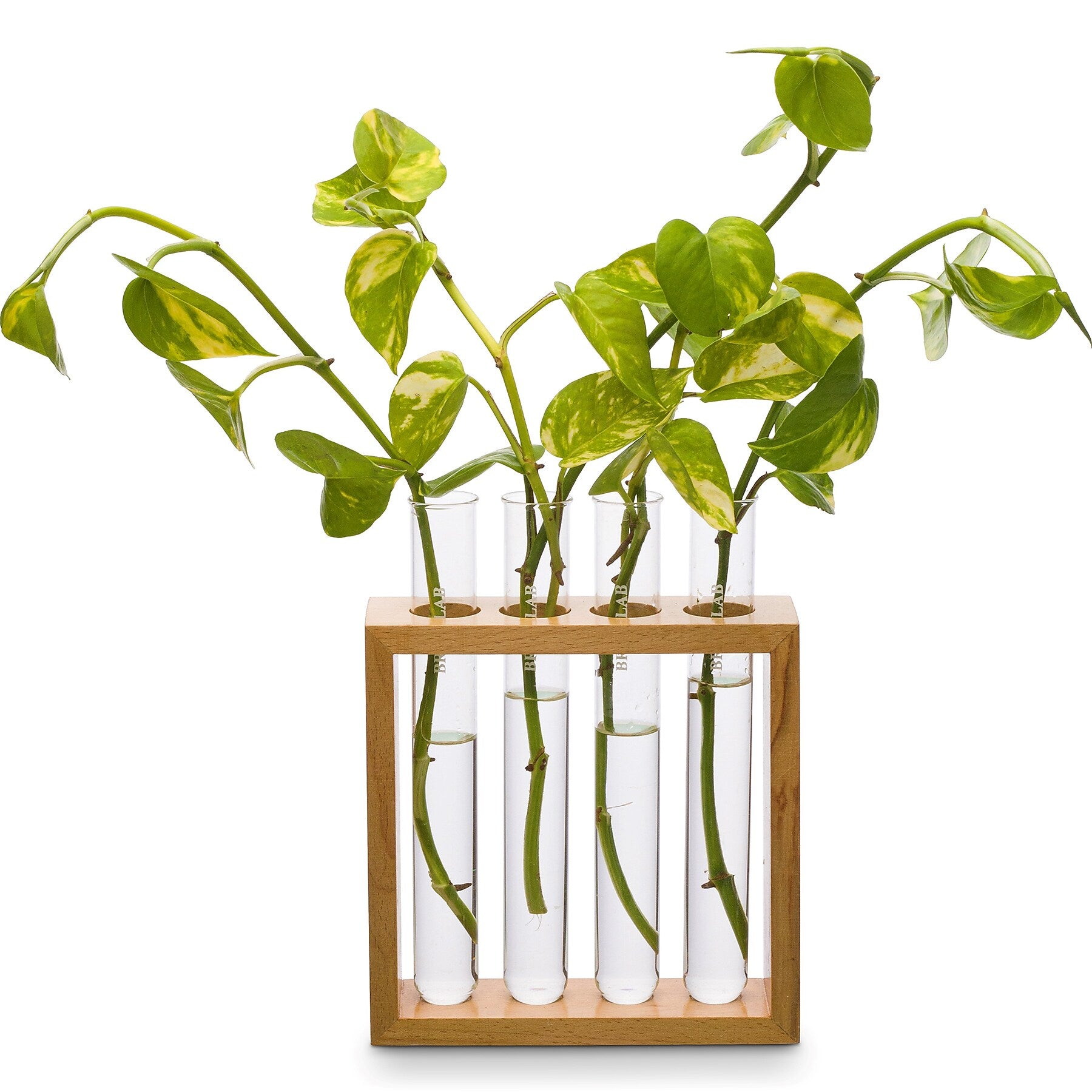 Supertek Square Plant Holder (SKFBLSP1003B)