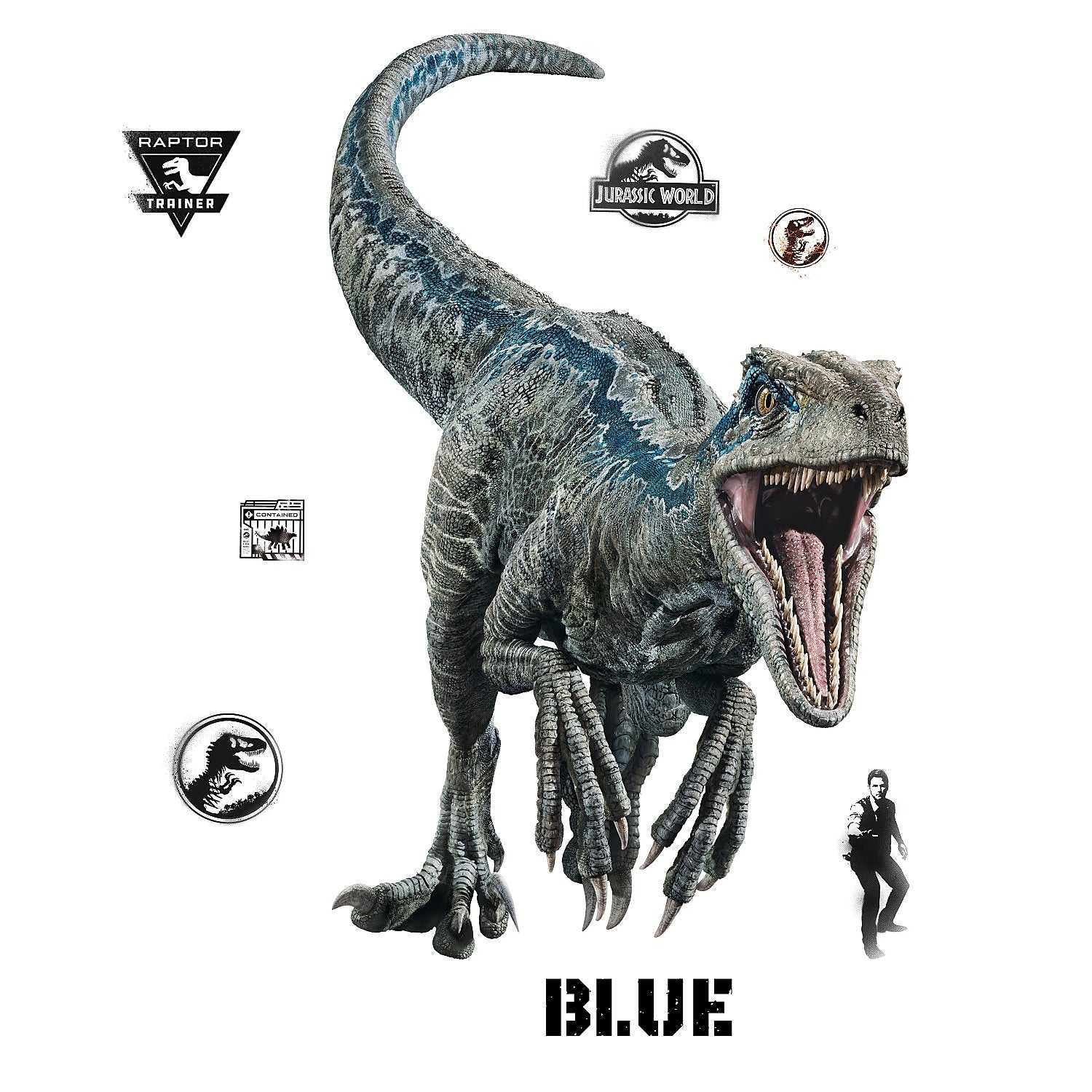 York Wallcoverings Jurassic World 2 Blue Velociraptor Children's Decal, Music, Movies & TV (RMK3799GM)