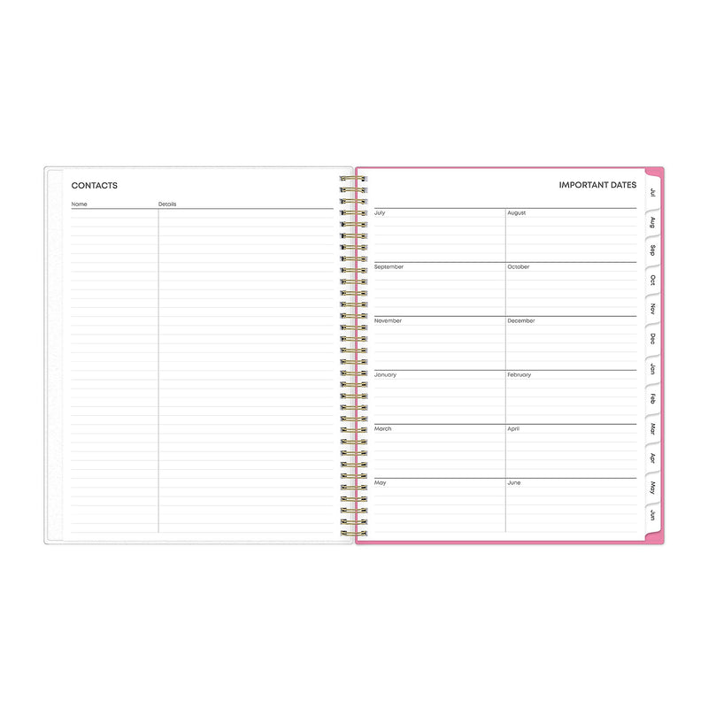 2025-2026 Blue Sky Roosevelt 8.5" x 11" Academic Year Weekly & Monthly Planner, Plastic Cover, Multicolored (128691-A26)