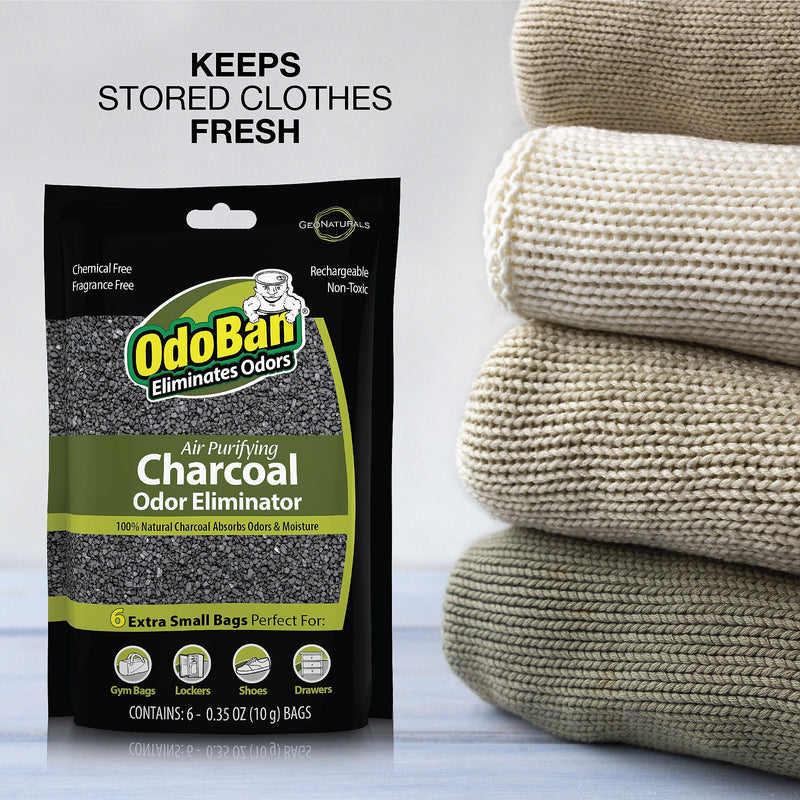 OdoBan Air Purifying Charcoal Deodorizer Solid, 6/Pack (9760A61-10M6P)