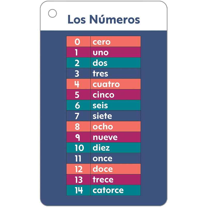 Carson Dellosa Education Spanish Flash Cards, 216/Pack (CD-734109)