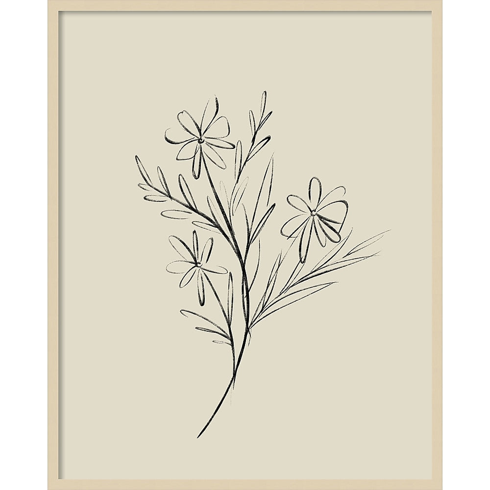 Amanti Art Line Drawn Flowers 1 by Border Bloom Wood Framed Wall Art Print, 33" x 41" (A42677449910)