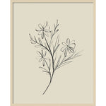 Amanti Art Line Drawn Flowers 1 by Border Bloom Wood Framed Wall Art Print, 33" x 41" (A42677449910)