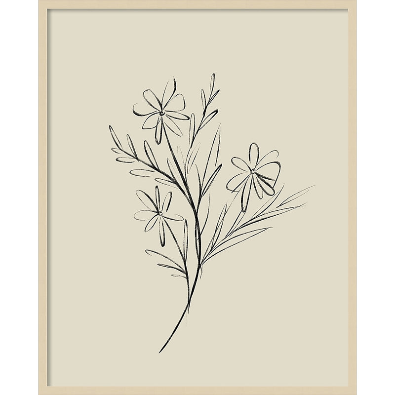 Amanti Art Line Drawn Flowers 1 by Border Bloom Wood Framed Wall Art Print, 33" x 41" (A42677449910)