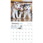 2026 TF Publishing Puppies 12" x 12" Monthly Wall Calendar, Multi (26-1025)