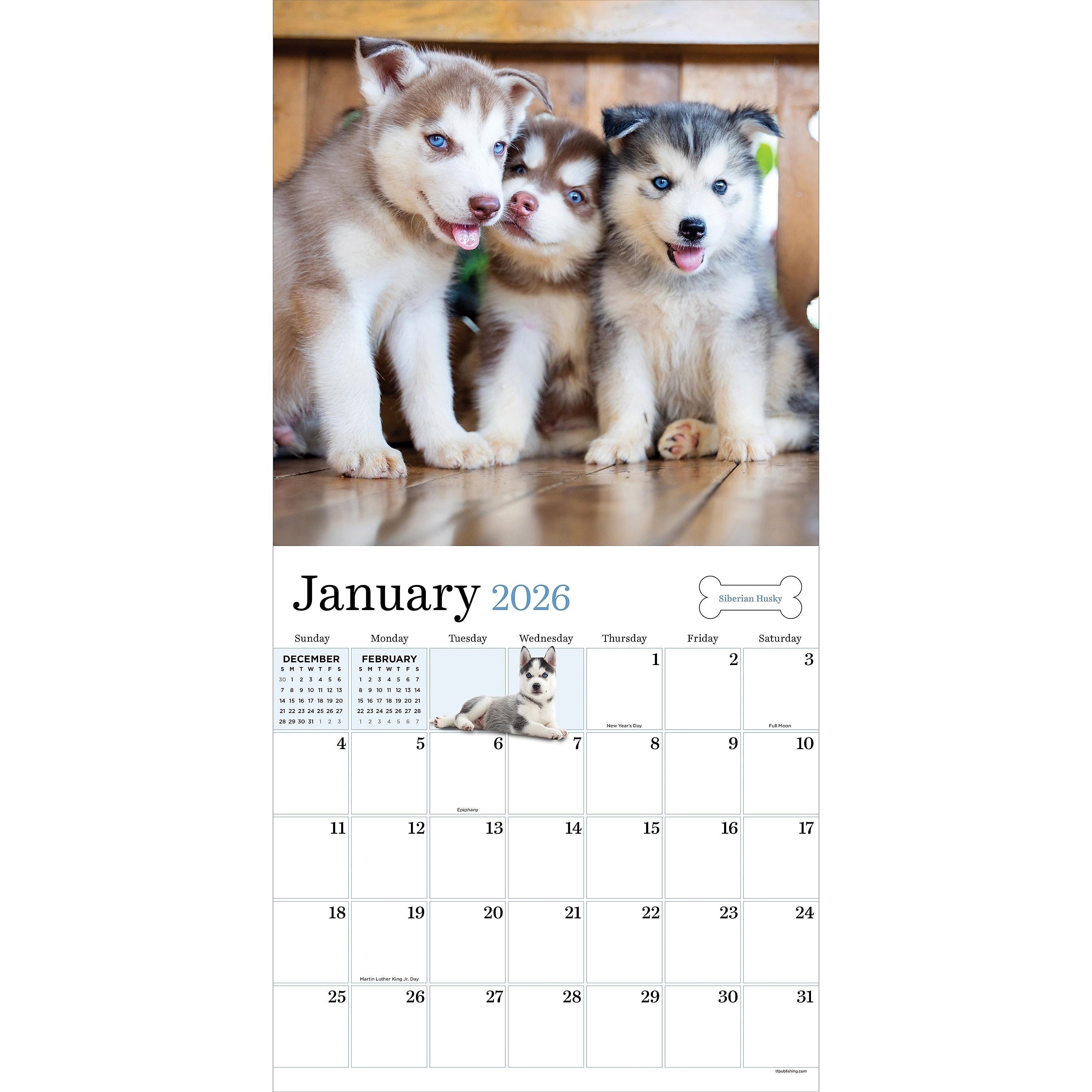 2026 TF Publishing Puppies 12" x 12" Monthly Wall Calendar, Multi (26-1025)