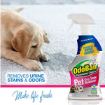 OdoBan Pet Solutions Laundry Stain Remover, 32 oz. (961561-Q6)