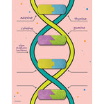 Roylco DNA Builder, 9/Set (R-59252)