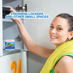 OdoBan Deodorizer Solid, Fresh Linen Scent, 14 oz. (9735C61-14Z12D)