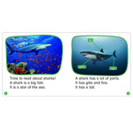 Scholastic Teaching Solutions Nonfiction Phonics Readers: R-controlled, Variant Vowels & More, 125 Books/Set (SC-9781338894714)