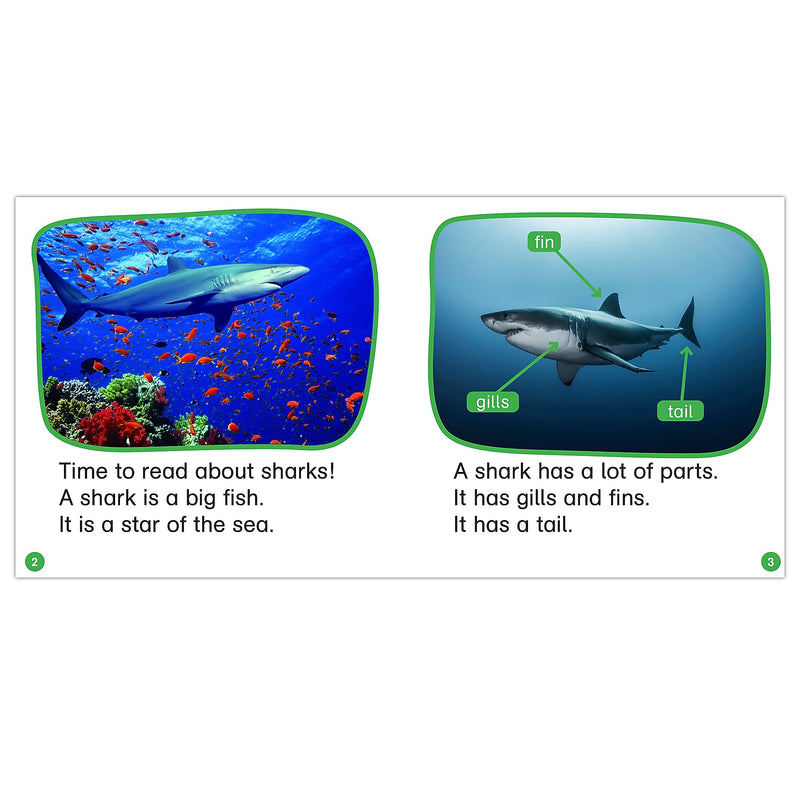 Scholastic Teaching Solutions Nonfiction Phonics Readers: R-controlled, Variant Vowels & More, 125 Books/Set (SC-9781338894714)