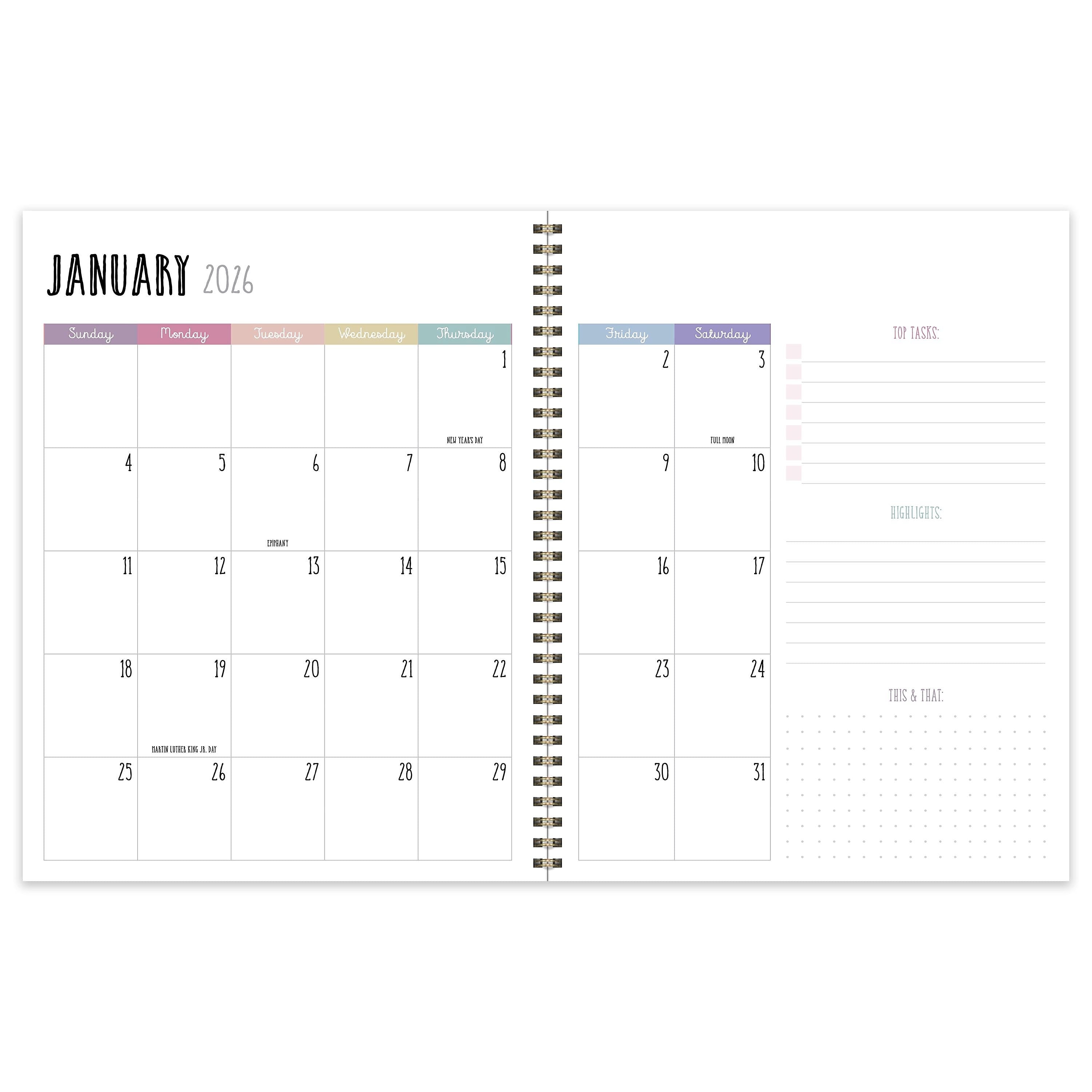 2026 TF Publishing Robin's Egg 9" x 11" Weekly & Monthly, Paperboard Cover, Multicolored (26-9710)