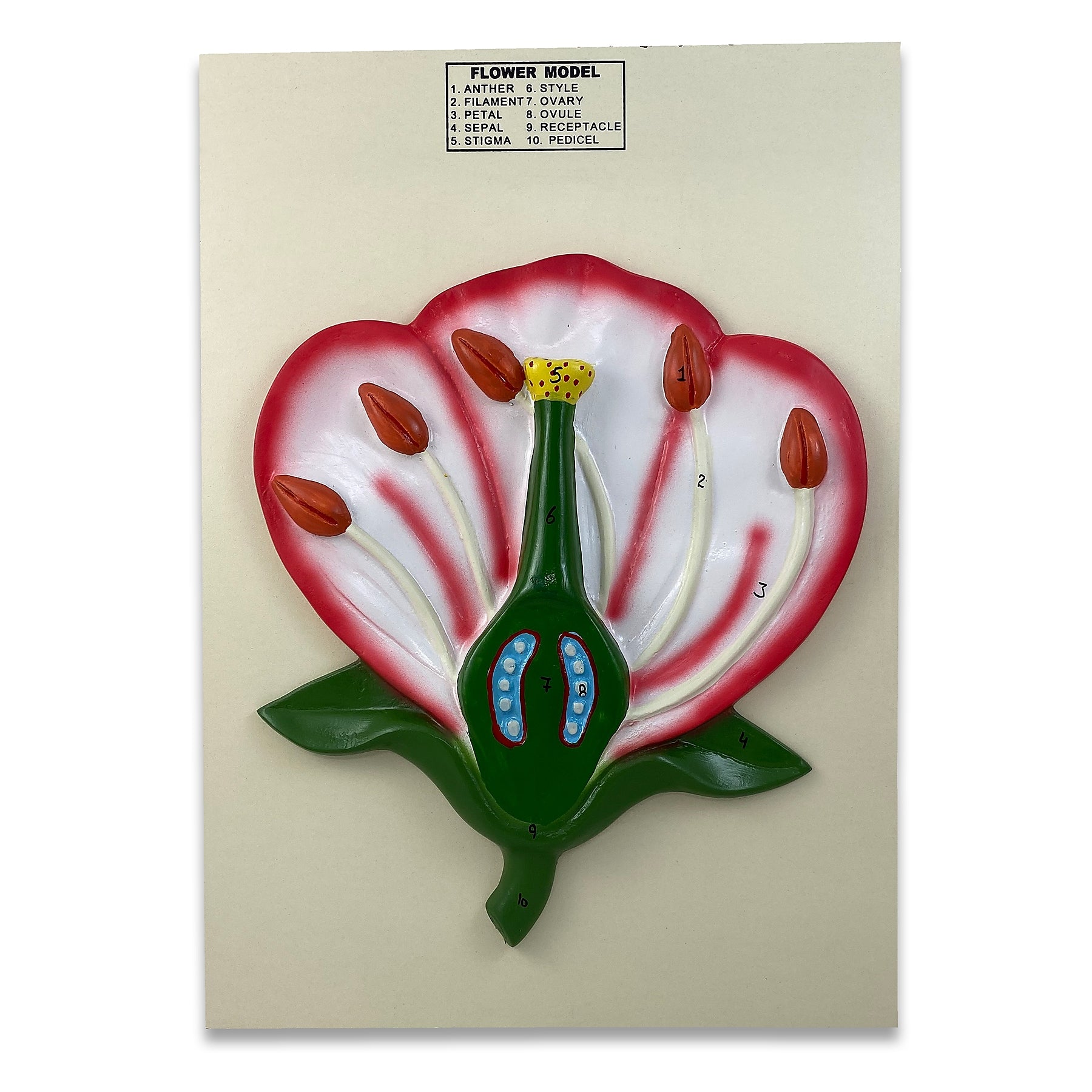 Supertek 3-D Flower Model (SKFB12812)