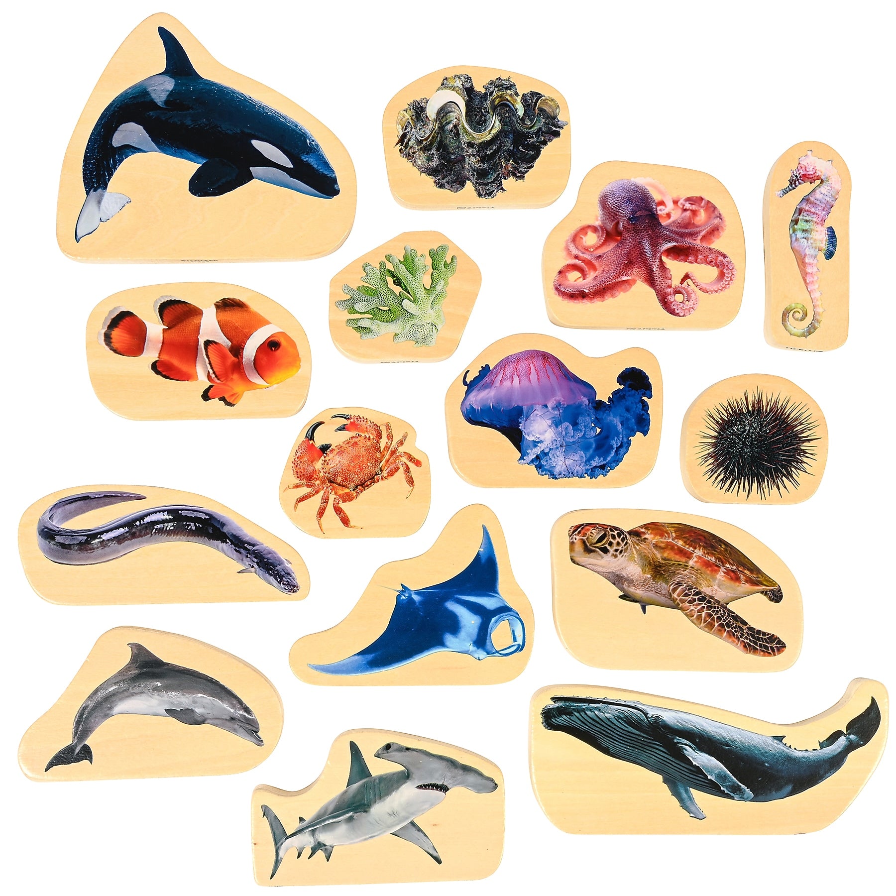 TickiT Wooden Sea Life Blocks, Multicolored, 15 Pieces/Set (CTU73566)