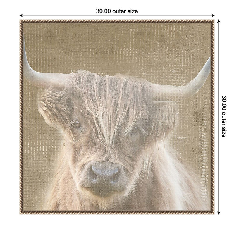 Amanti Art Soulful Bull by Patricia Pinto Framed Canvas Wall Art Print, 30" x 30" (A42678299508)