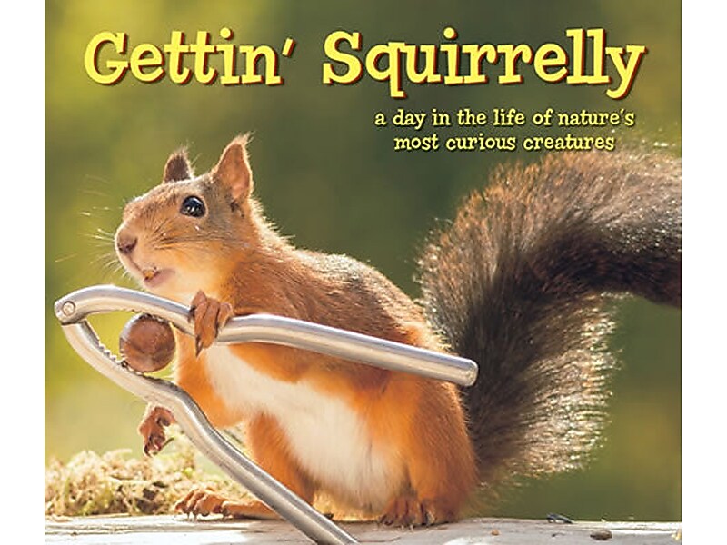 Gettin' Squirrelly, Hardcover