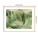Amanti Art Petal I by Tang Ling Wood Framed Wall Art Print, 41" x 33" (A42675533997)