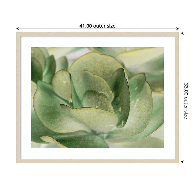 Amanti Art Petal I by Tang Ling Wood Framed Wall Art Print, 41" x 33" (A42675533997)
