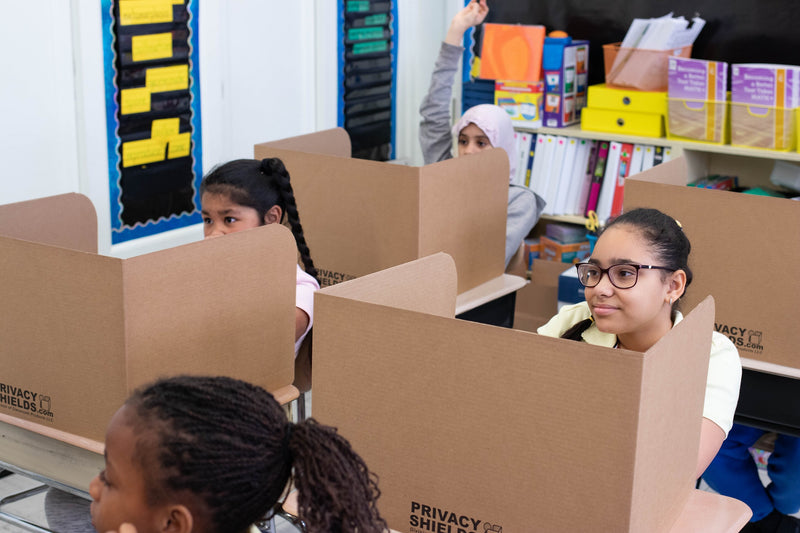 Classroom Products Foldable Cardboard Freestanding Privacy Shield, 13"H x 20"W, Kraft, 30/Box (VB1330 KR)