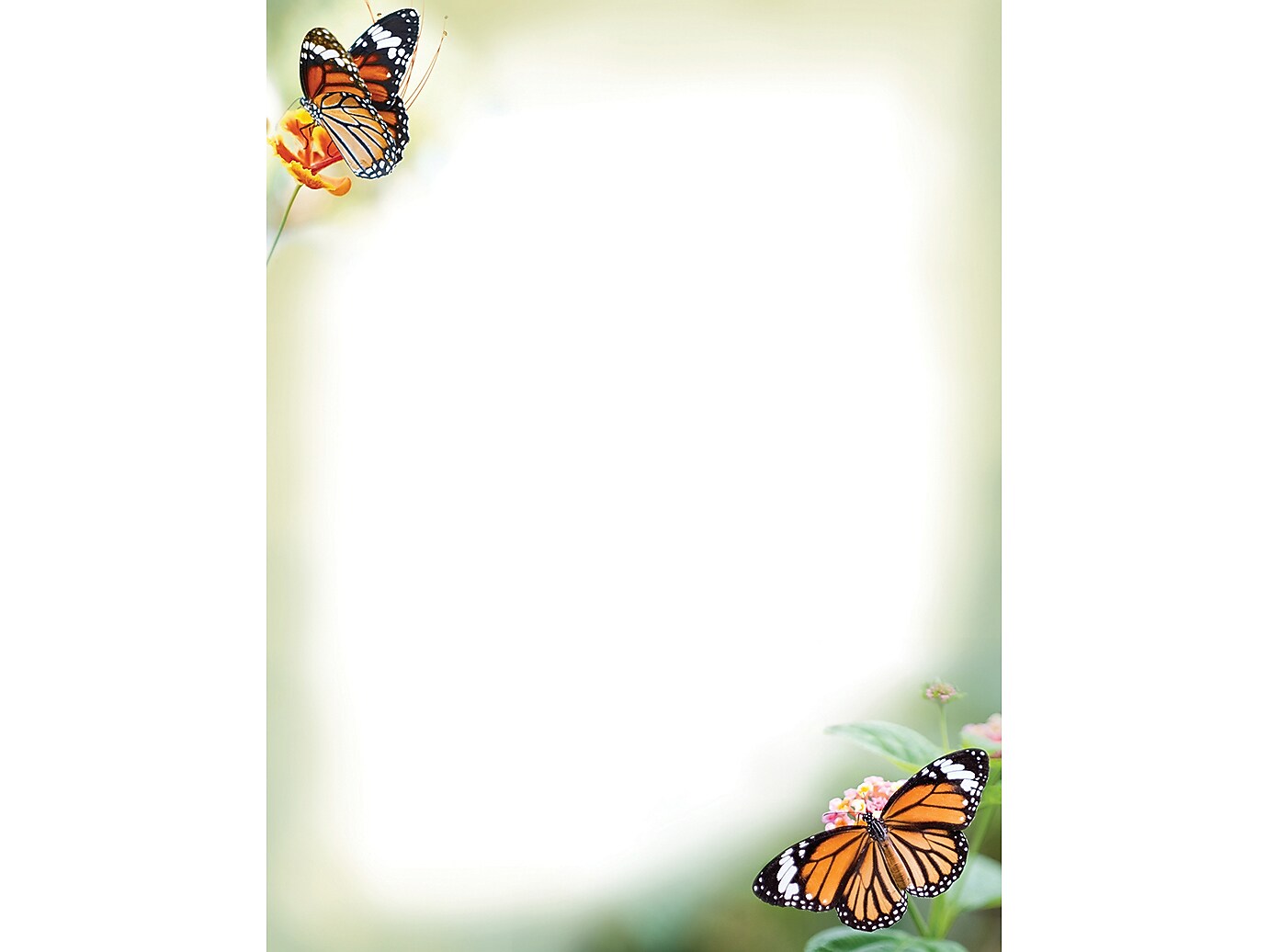 Great Papers Monarch Butterflies Letterhead, Multicolor, 50/Pack (2023065)