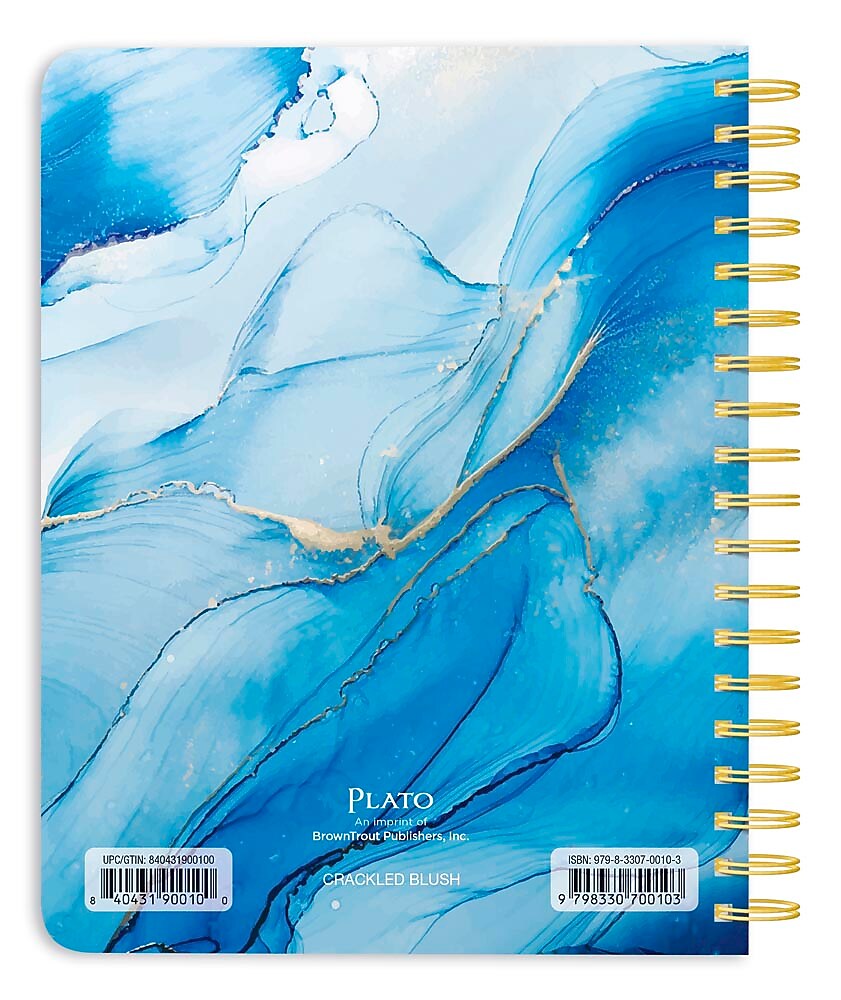 2025-2026 Plato Crackled Blush 6" x 7.75" Academic Year Weekly Planner, Multicolored (9798330700103)
