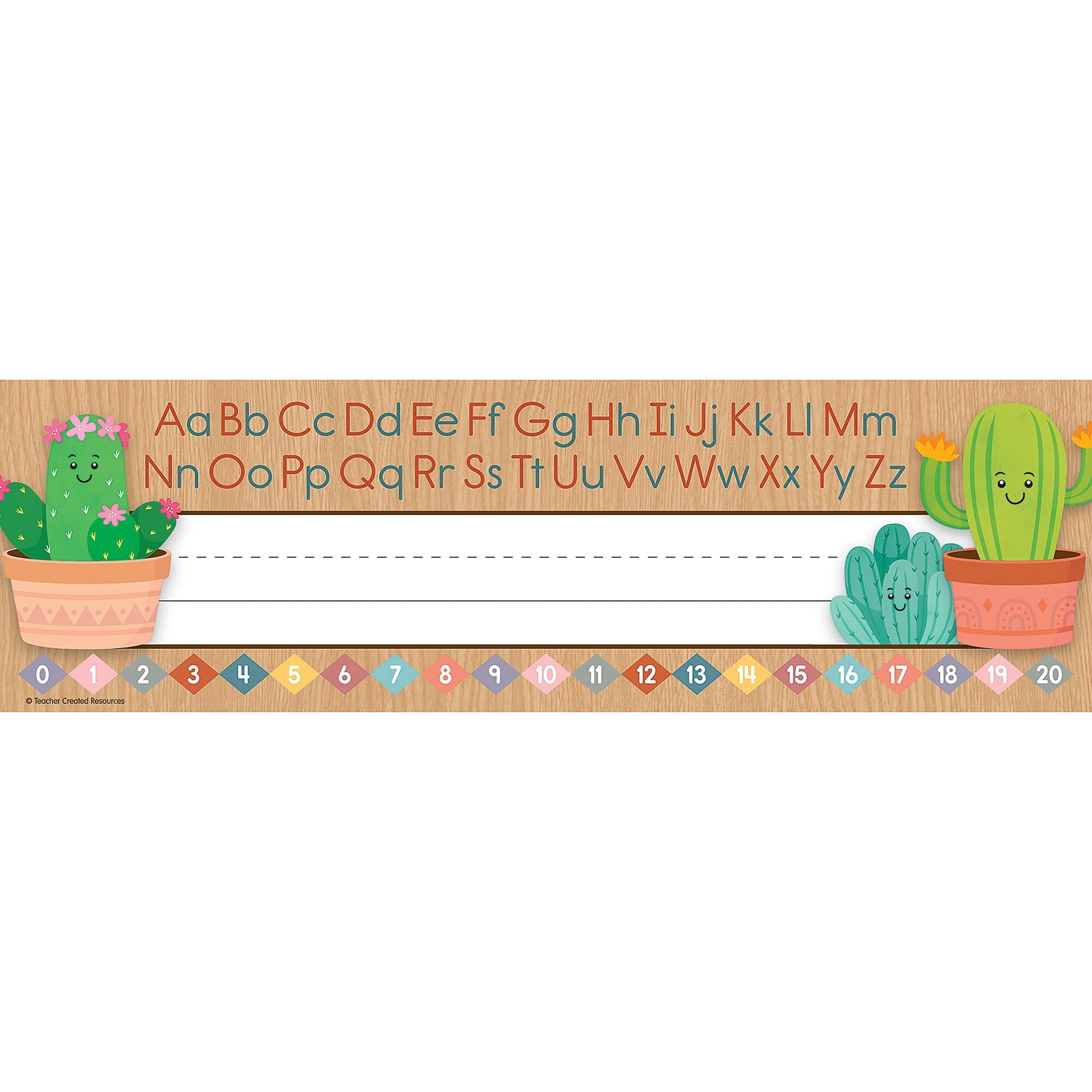 Teacher Created Resources Happy Cactus Crew School Name Plates, 11.5" x 3.5", 36/Pack, 6 Packs/Bundle (TCR6960-6)