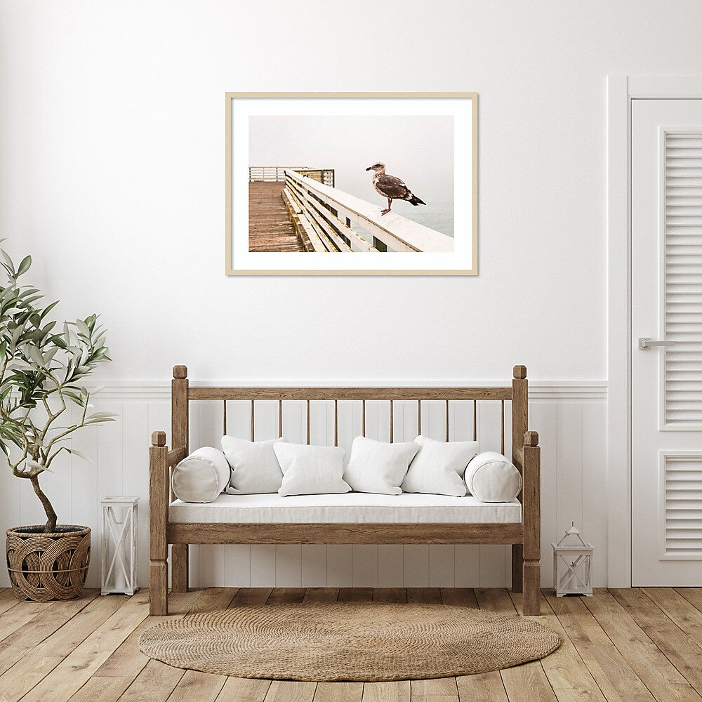 Amanti Art Sea gull on wharf by Alison Jones Danita Delimont Wood Framed Wall Art Print, 41" x 30" (A42675535759)