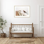 Amanti Art Sea gull on wharf by Alison Jones Danita Delimont Wood Framed Wall Art Print, 41" x 30" (A42675535759)