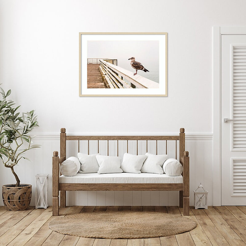 Amanti Art Sea gull on wharf by Alison Jones Danita Delimont Wood Framed Wall Art Print, 41" x 30" (A42675535759)