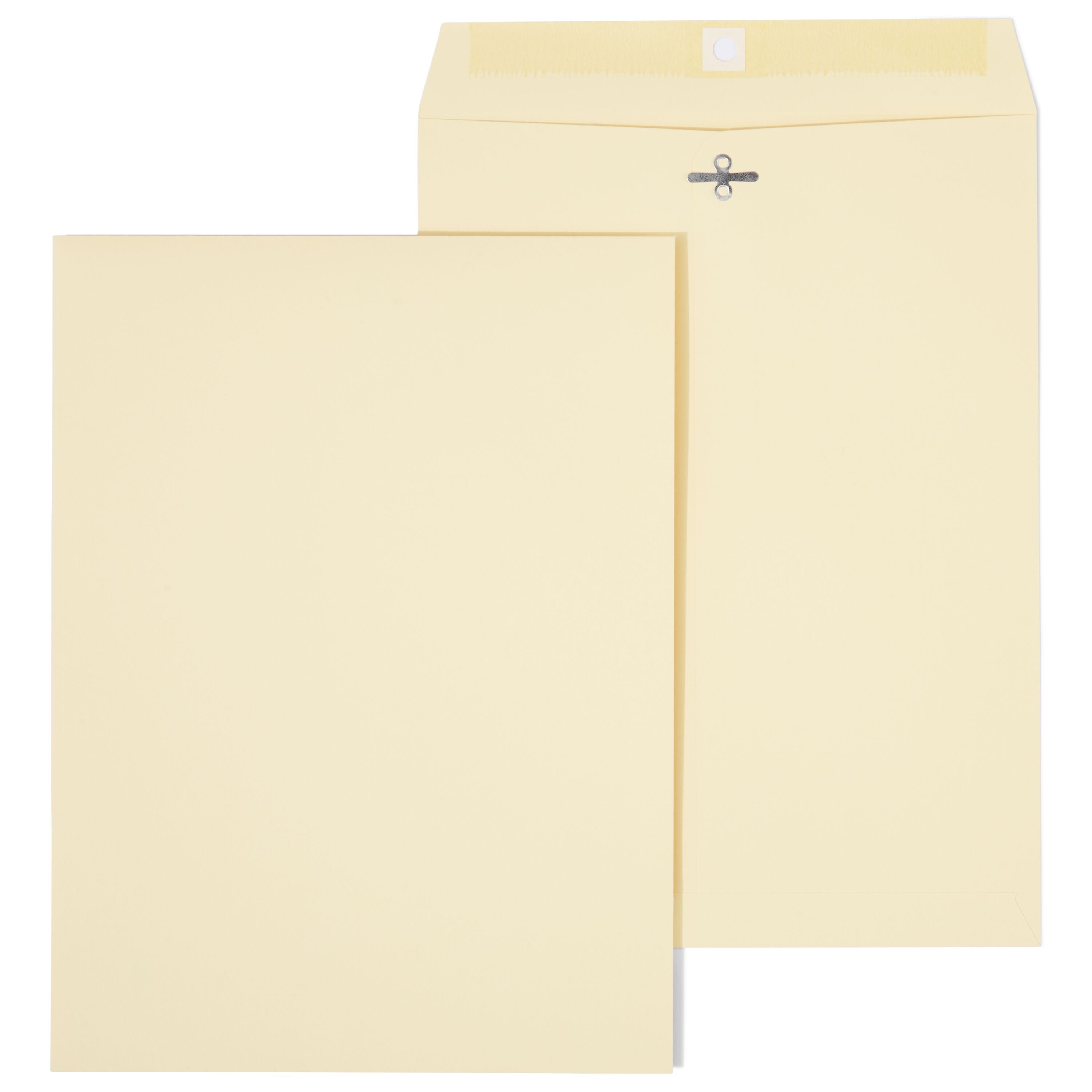 Staples Extra-Heavyweight Clasp & Moistenable Glue Catalog Envelopes, 9"L x 12"H, Manila, 100/Box (121962/19276)