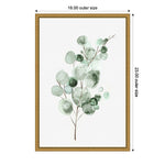 Amanti Art Tender Sprout II (Eucalyptus) by Eva Watts Framed Canvas Wall Art Print, 16" x 23" (A42675040761)