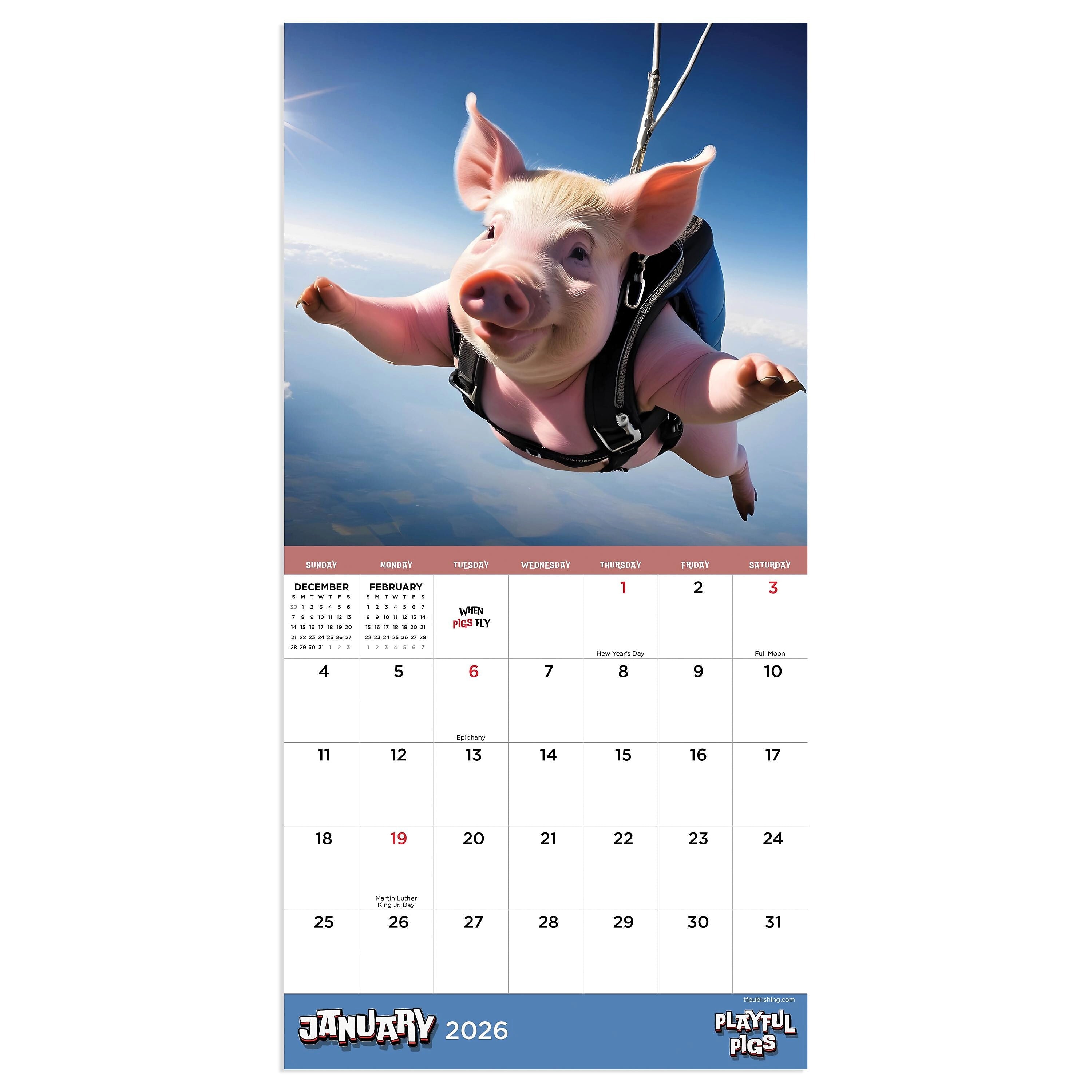 2026 TF Publishing Playful Pigs Mini 7" x 7" Monthly Wall Calendar, Multicolor (26-2006)