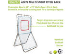 Champion Sports Multisport Pitch Back Screen, Multicolor (BN4272)