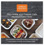 World Centric Fiber Hinged Containers, 9.2" x 9.1" x 3.2", Natural, Paper, 300/Carton (WORTOSCU9LFP)