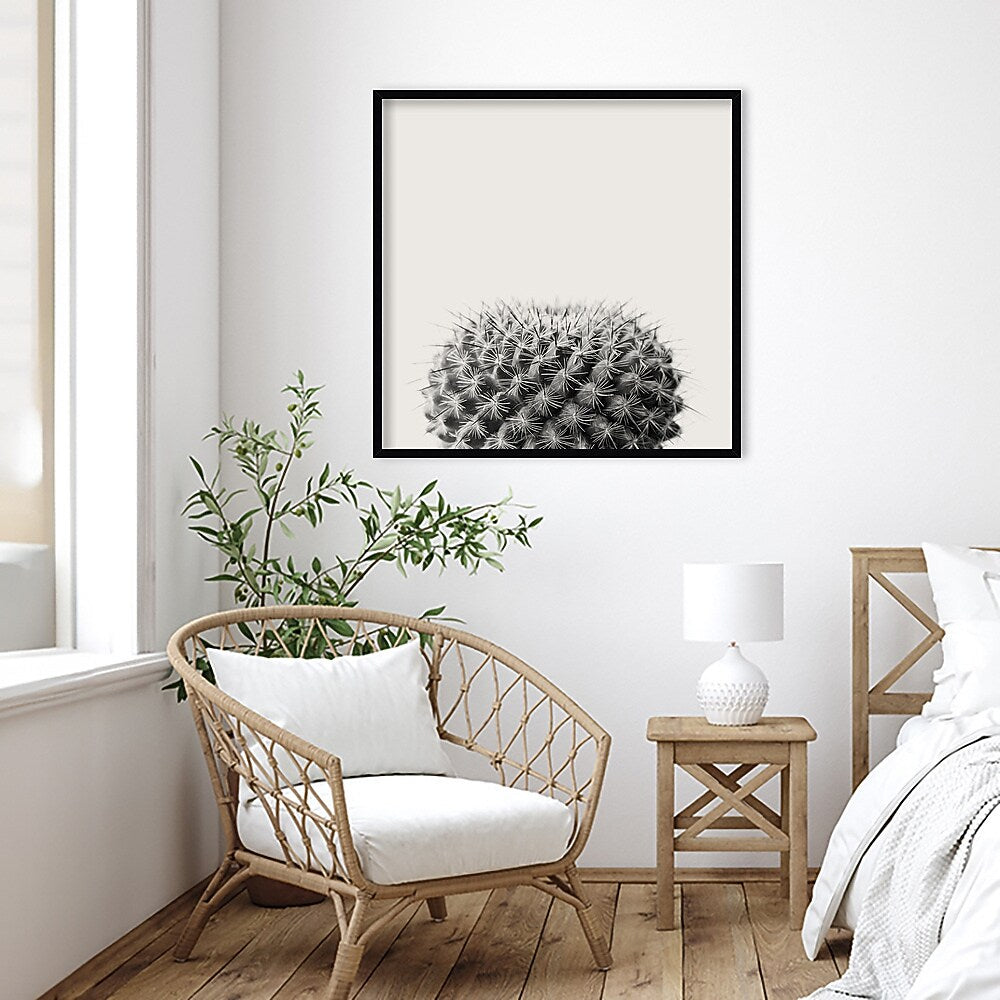 Amanti Art Haze Cactus Succulent by The Creative Bunch Studio Wood Framed Wall Art Print, 33" x 33" (A42675345780)