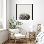 Amanti Art Haze Cactus Succulent by The Creative Bunch Studio Wood Framed Wall Art Print, 33" x 33" (A42675345780)