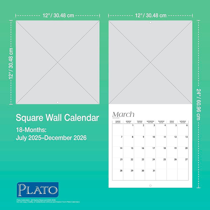 2025-2026 Plato Taylor Swift 12" x 12" Academic Monthly Wall Calendar  (9798330707720)