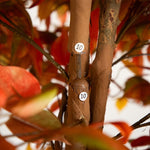 Nearly Natural 9' Autumn Ficus Artificial Fall Tree (T4768)