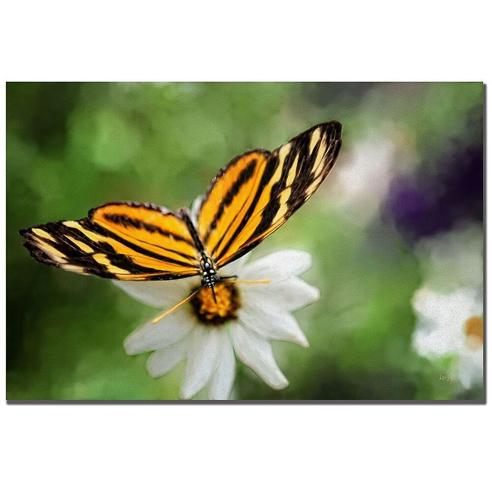 Trademark Fine Art Lois Bryan 'Delicate Balance' Canvas Art 16x24 Inches
