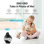 Enabot EBO X Home Robot, Black (EBO X)