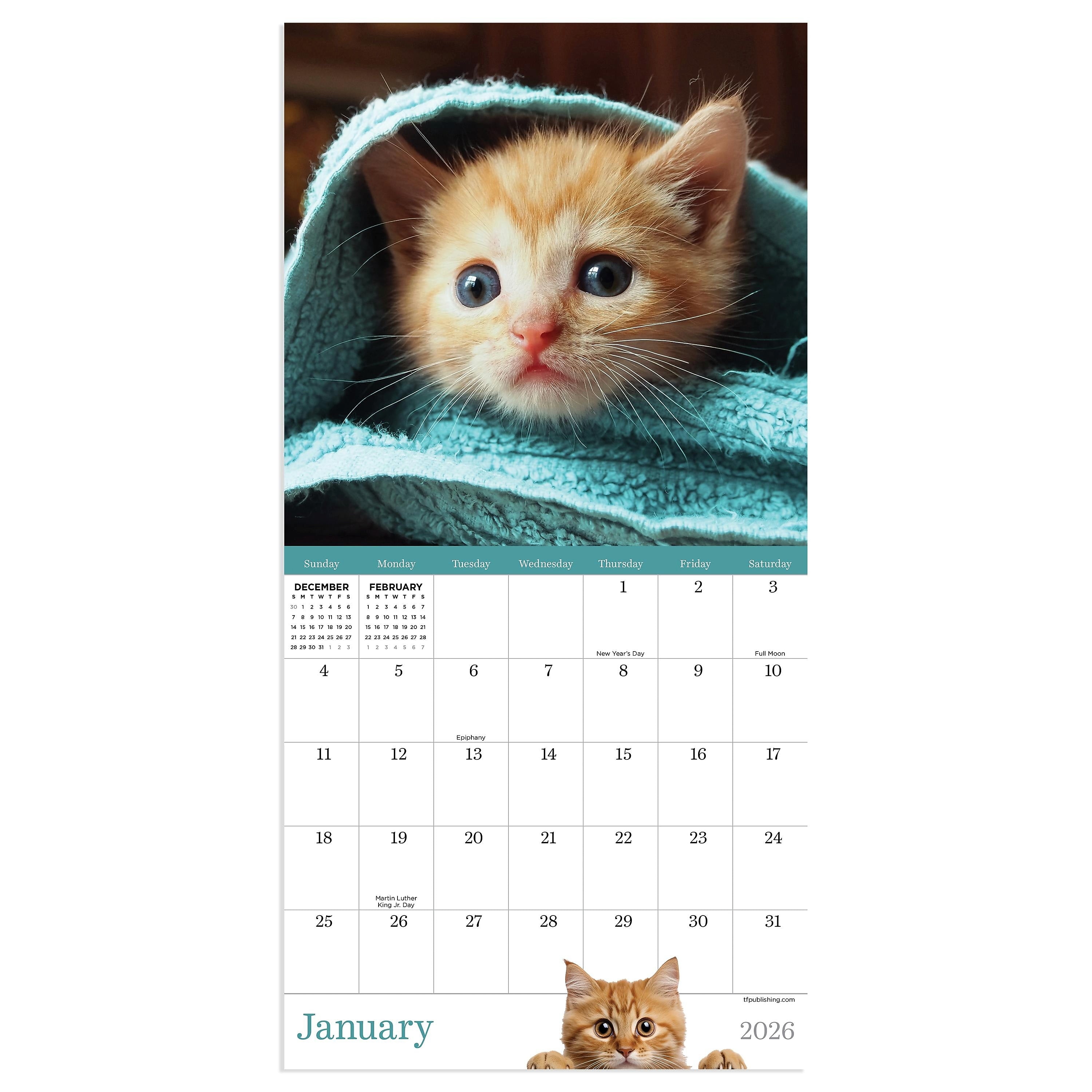 2026 TF Publishing Kittens Mini 7" x 7" Monthly Wall Calendar, Multicolor (26-2002)