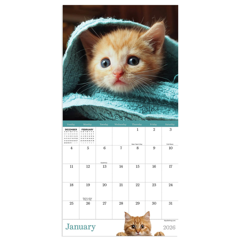 2026 TF Publishing Kittens Mini 7" x 7" Monthly Wall Calendar, Multicolor (26-2002)