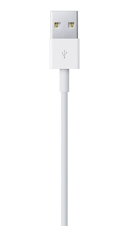 Apple 3.3 Foot Lightning to USB Cable - White (MUQW3AM/A)