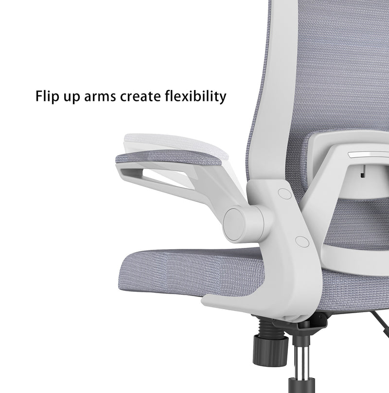 RAYNOR GROUP ION Fabric Task Chair, Gray/White (ION-WH-GRY)